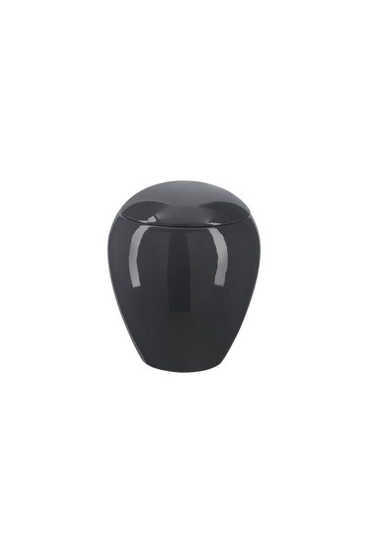 Modell Z11L-101