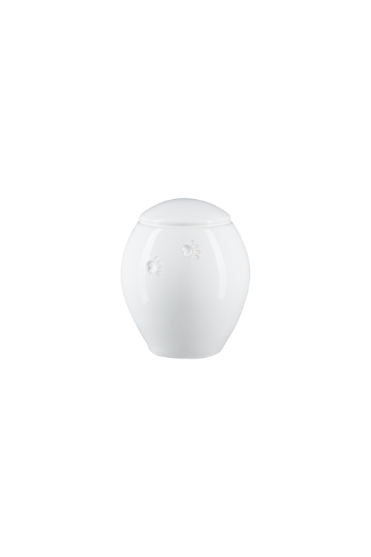 Modell Z19XL-03