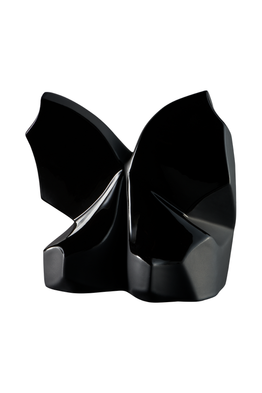Modell P58L-01