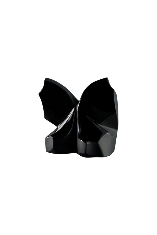 Modell P58L-01