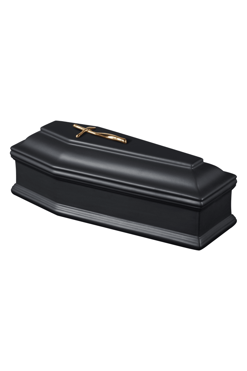 Modell T1-168