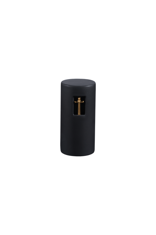 Model W2S-168