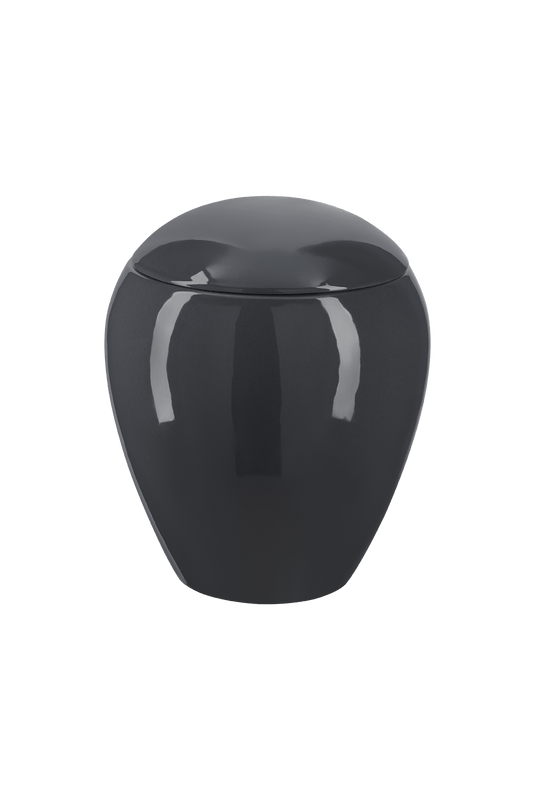 Model Z11L-101