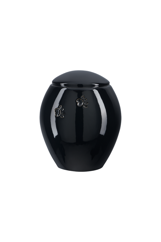 Modell Z19XL-01