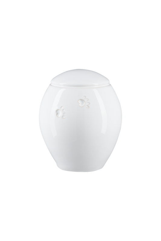Modell Z19XL-03