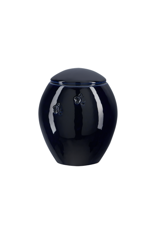 Modell Z19XL-100
