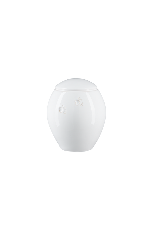 Modell Z19XL-03