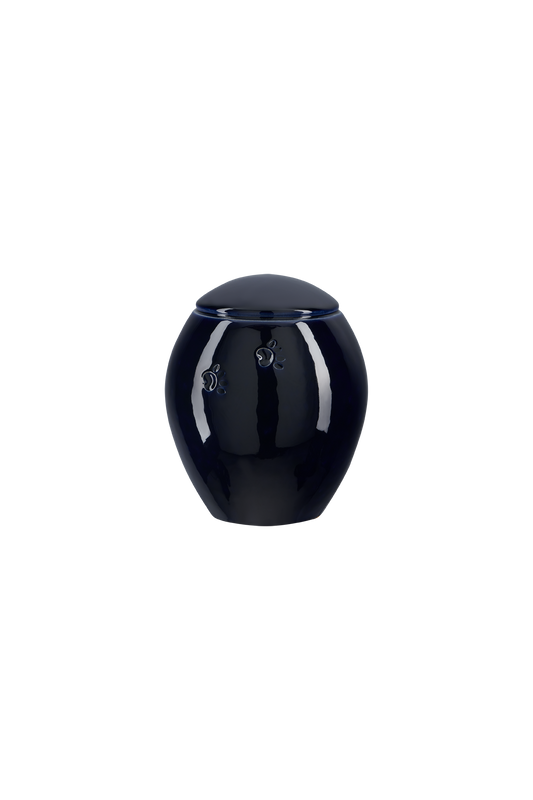 Modell Z19XL-100