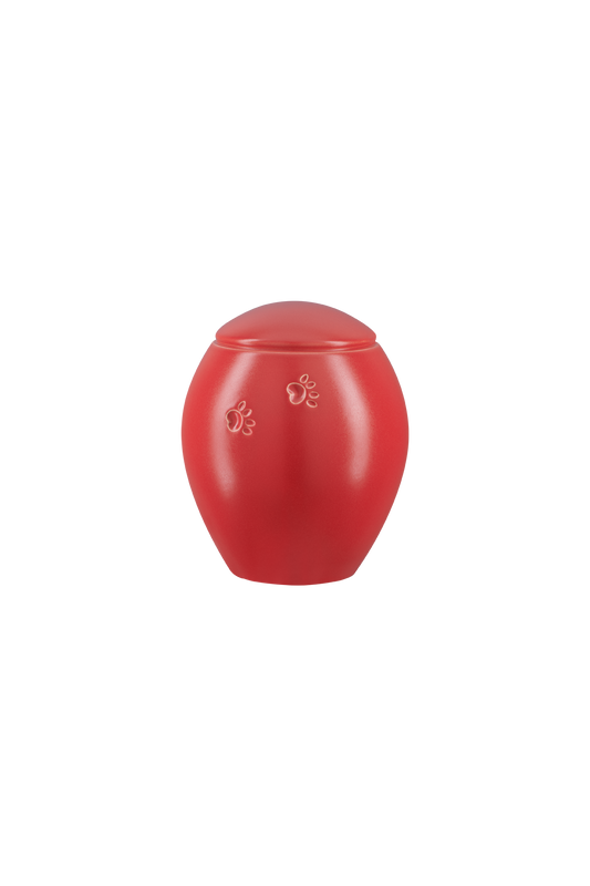 Modell Z19XL-177