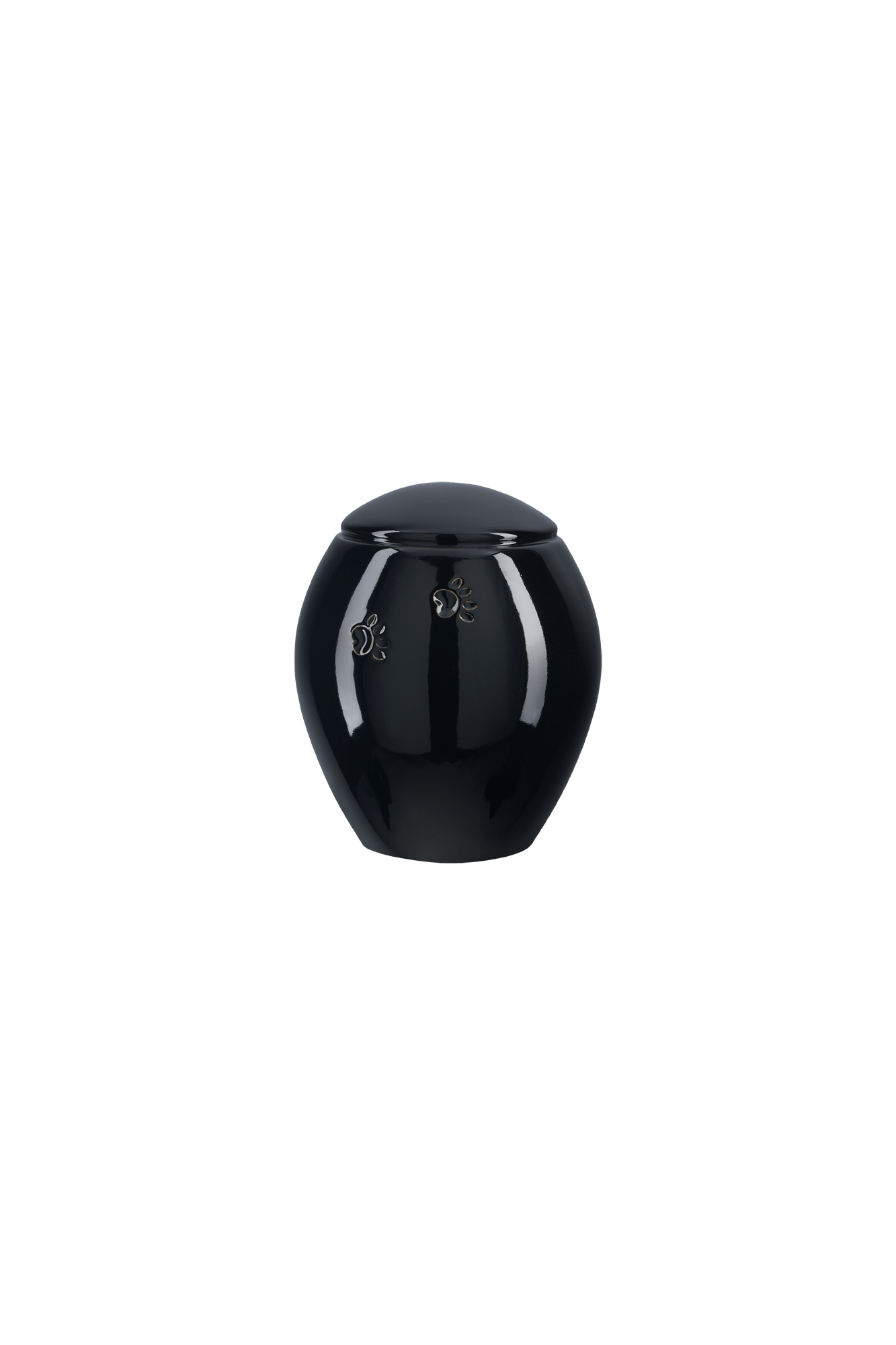Model Z19S-01