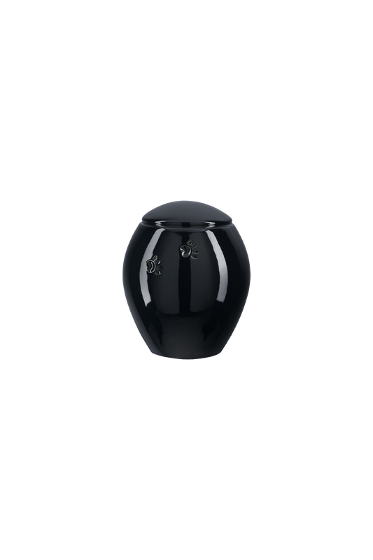 Model Z19S-01