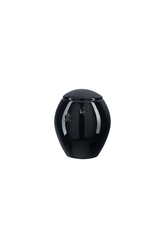 Modell Z19XL-01