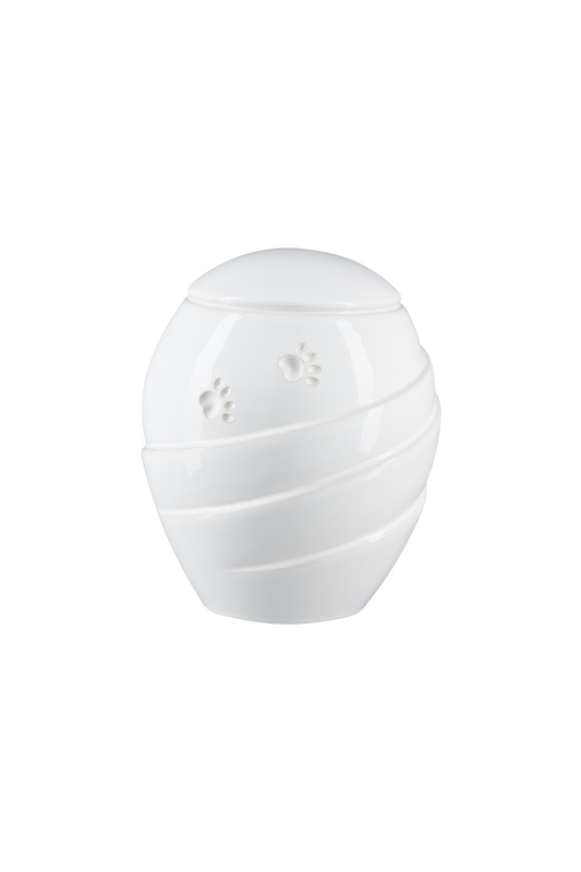 Modell Z20XL-03