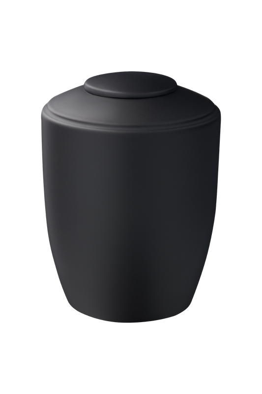 Modell Z21XXL-168